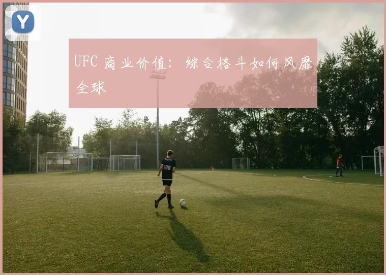 UFC 商业价值：综合格斗如何风靡全球